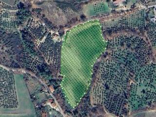 Terreno agricolo in affitto a spoleto località morgnano