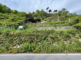 Terreno agricolo in vendita a ceriana strada provinciale nord