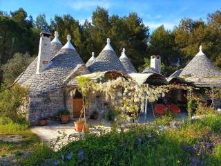 Trullo in in affitto da privato a cisternino contrada figazzano, 34