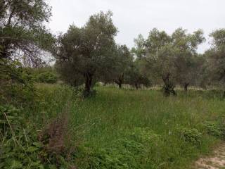 Terreno agricolo in vendita a pescara strada san silvestro-san giovanni