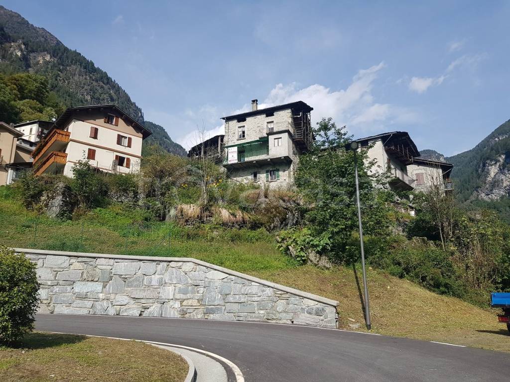 immagine annuncio 2 di 12