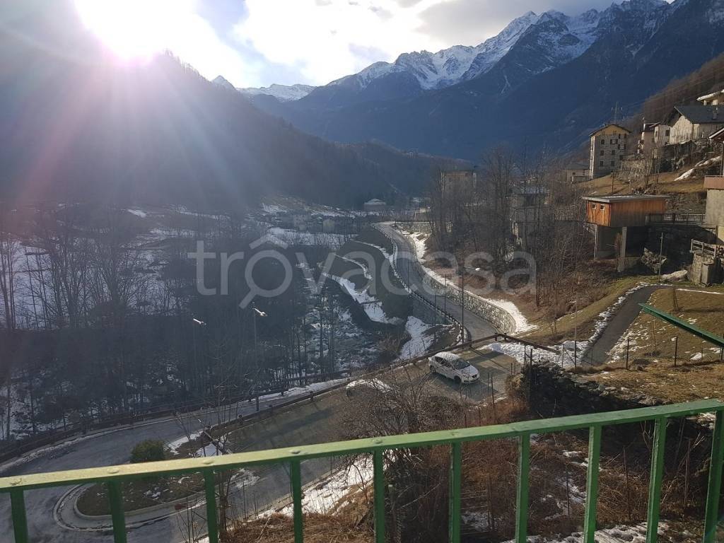 immagine annuncio 5 di 12