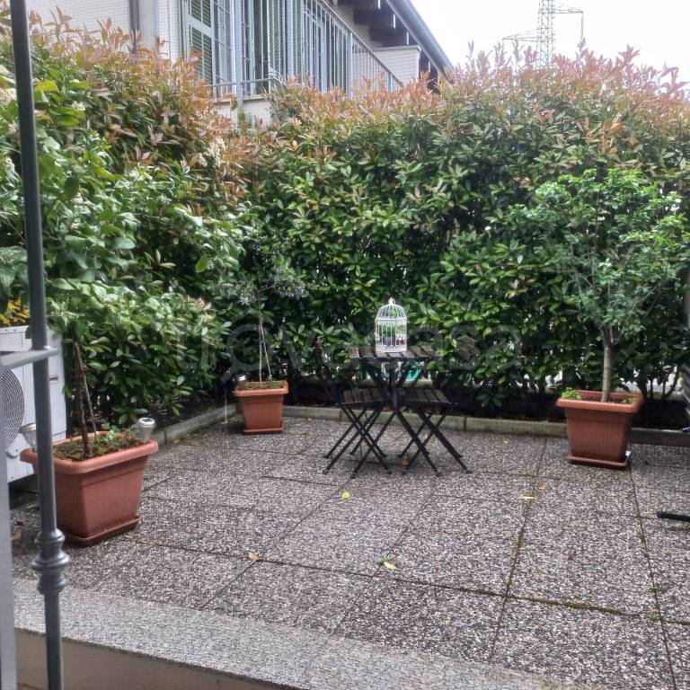 immagine annuncio 7 di 15