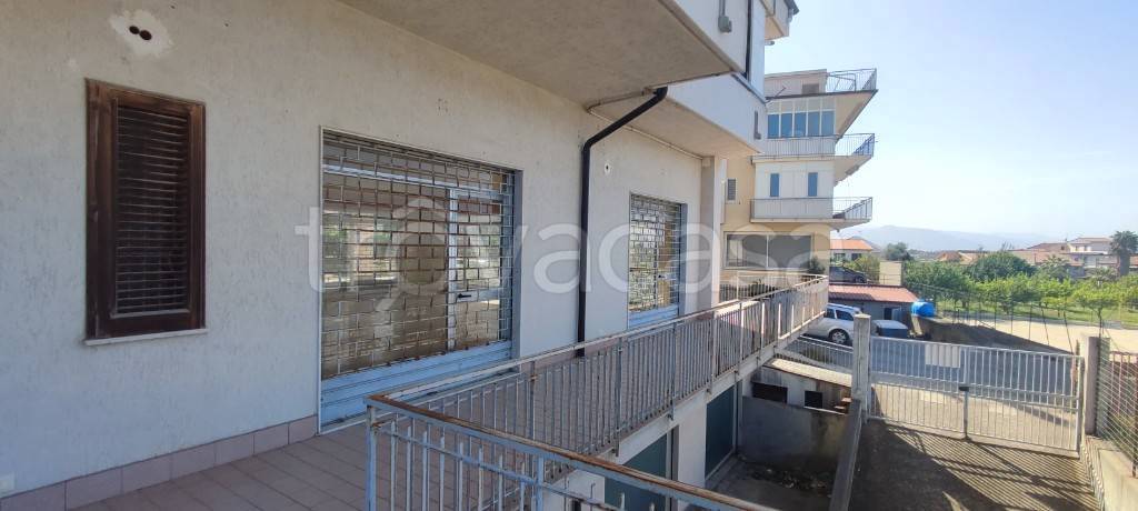 immagine annuncio 2 di 7