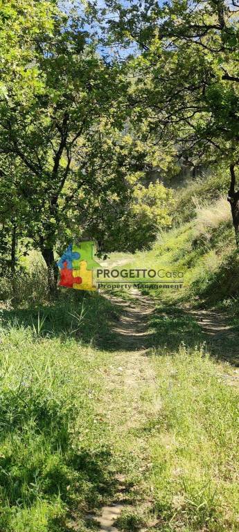 immagine annuncio 6 di 9