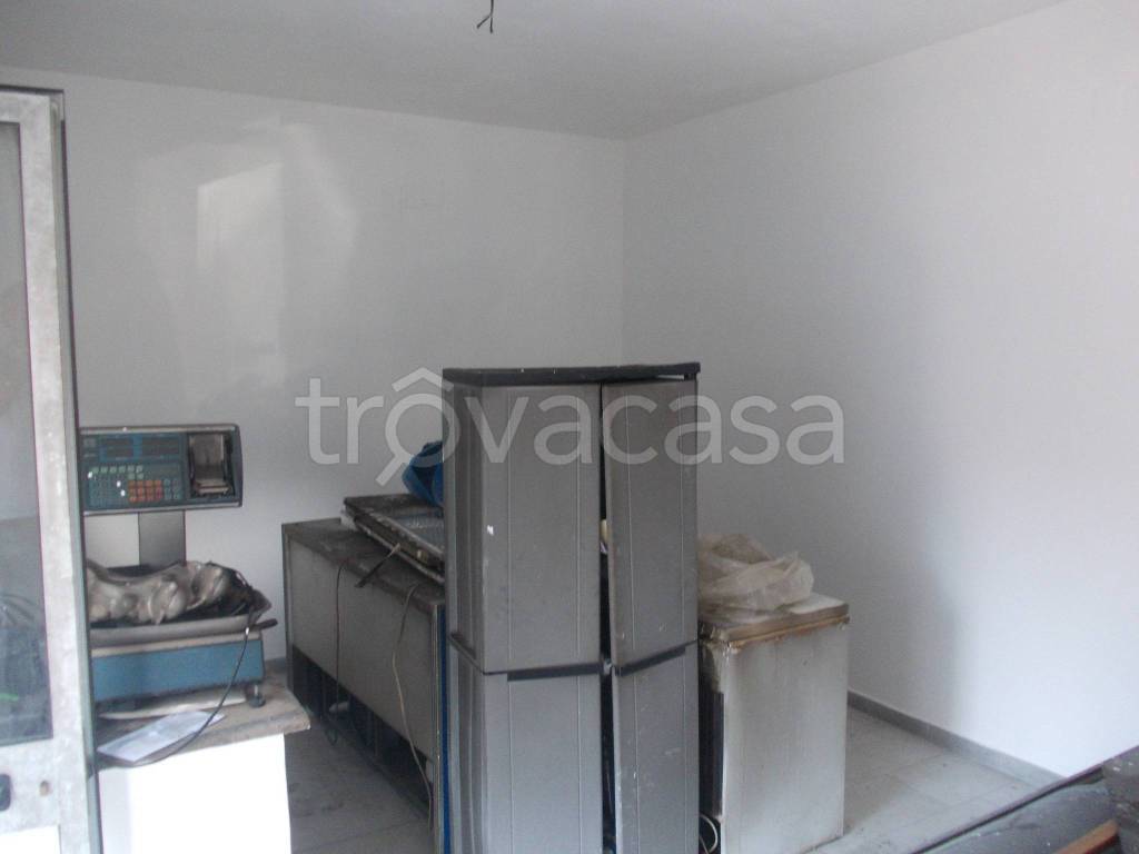 immagine annuncio 2 di 6