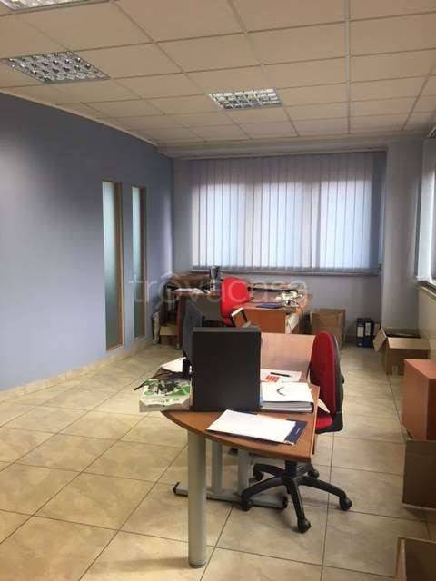 immagine annuncio 1 di 6