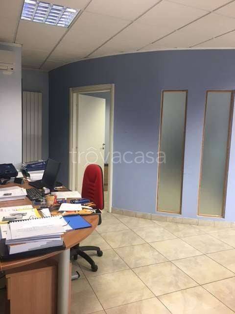 immagine annuncio 2 di 6