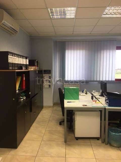 immagine annuncio 3 di 6