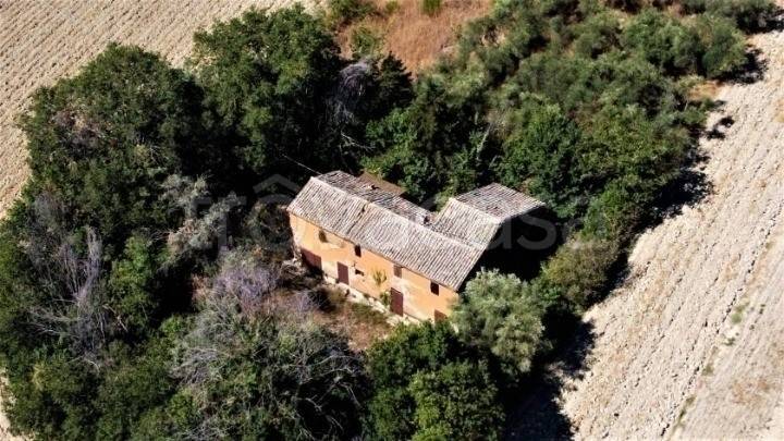 immagine annuncio 5 di 7