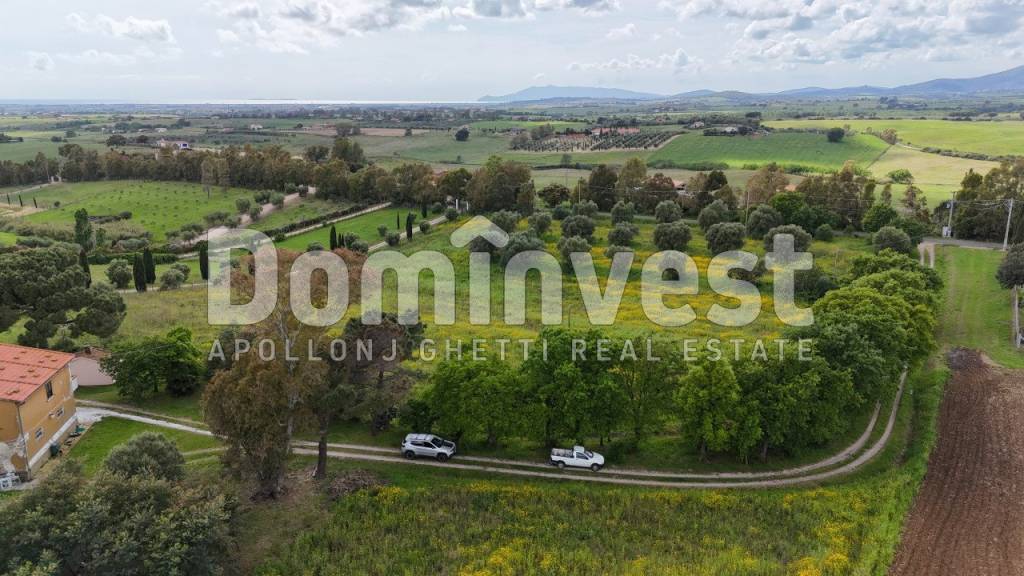 immagine annuncio 10 di 12