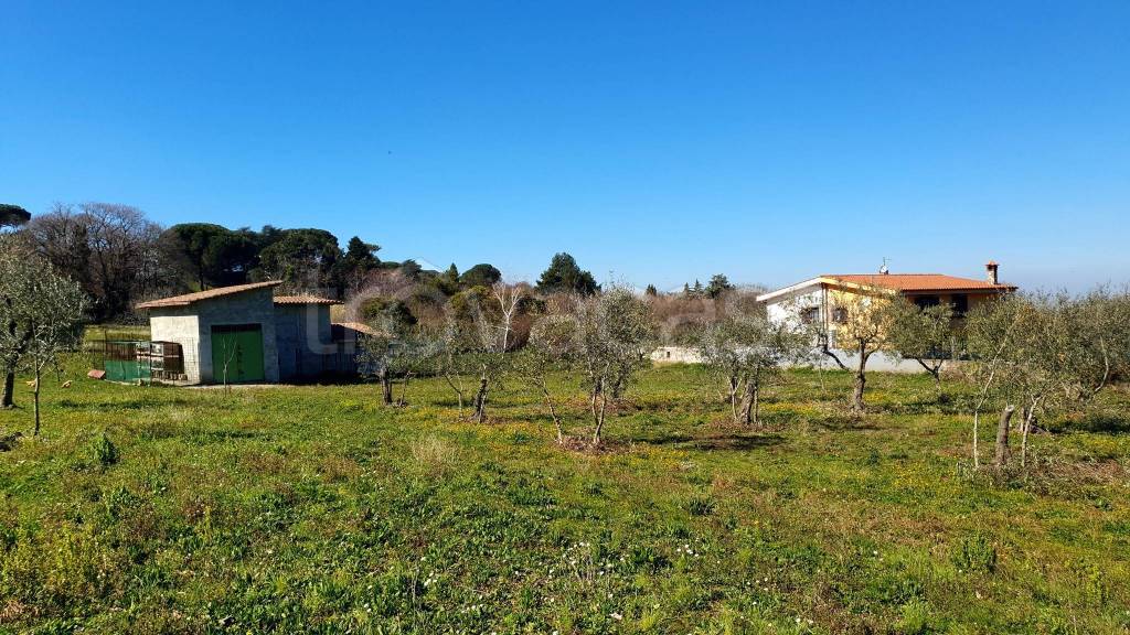 immagine annuncio 1 di 3