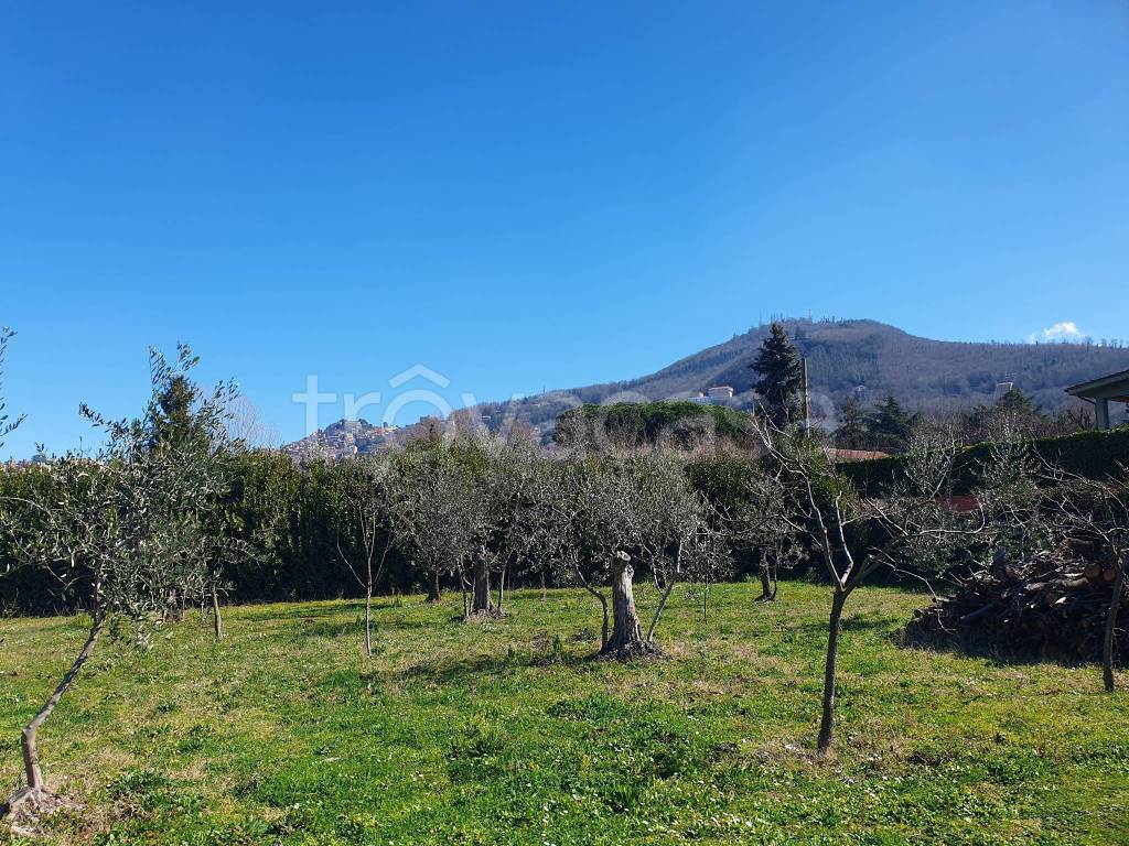 immagine annuncio 2 di 3