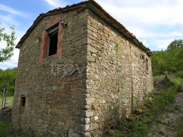 immagine annuncio 2 di 11