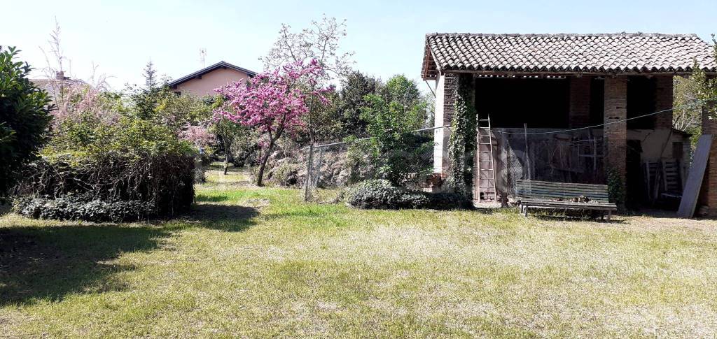 immagine annuncio 11 di 15