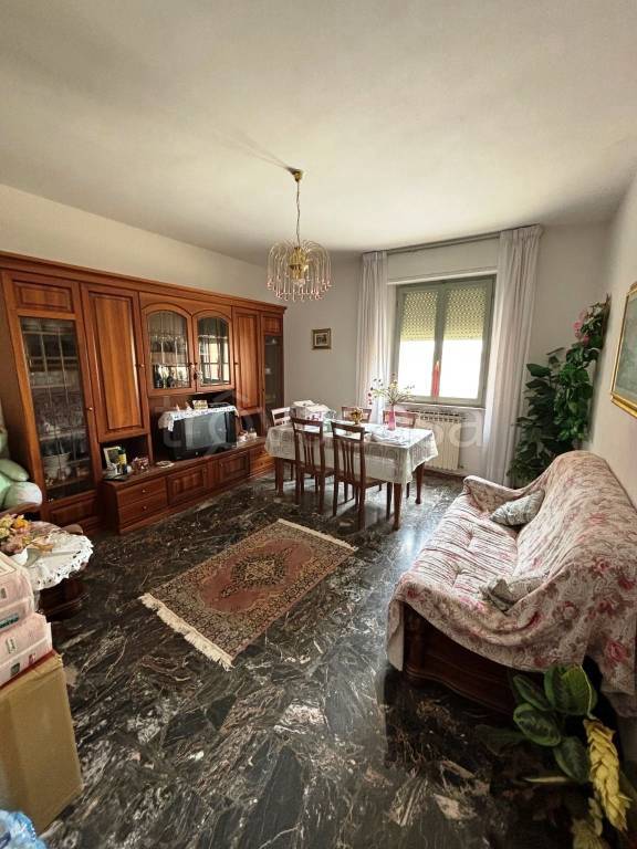immagine annuncio 5 di 14