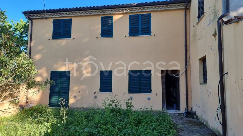 immagine annuncio 2 di 12