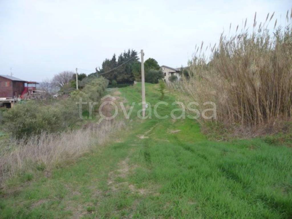 immagine annuncio 6 di 13