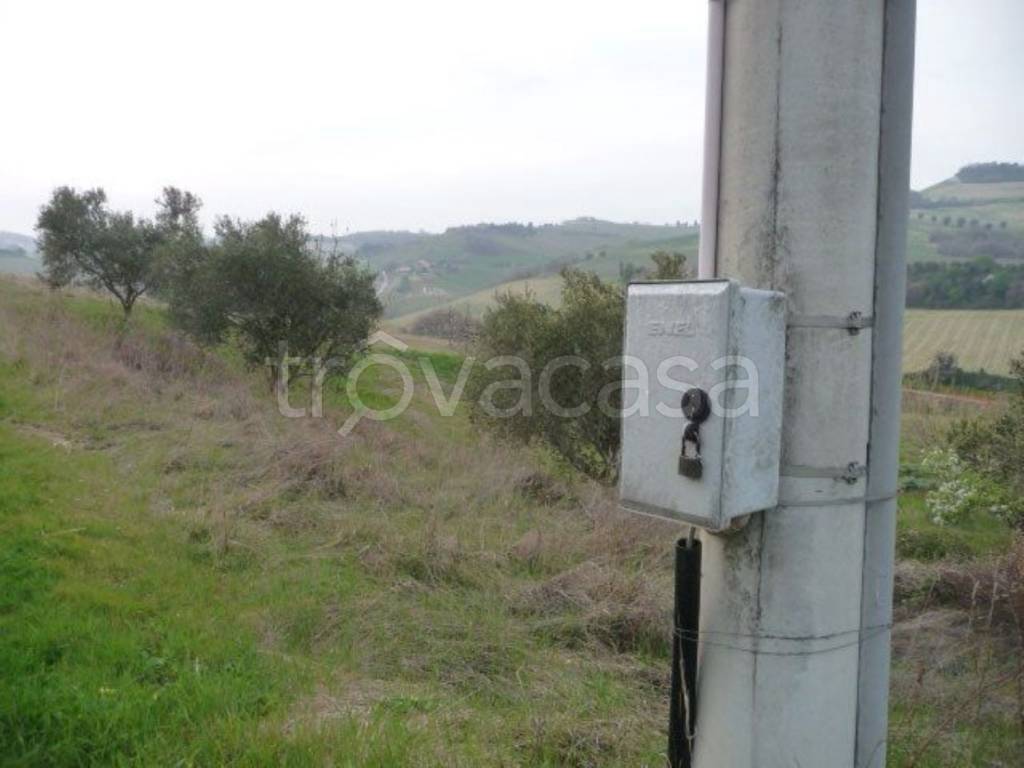 immagine annuncio 12 di 13