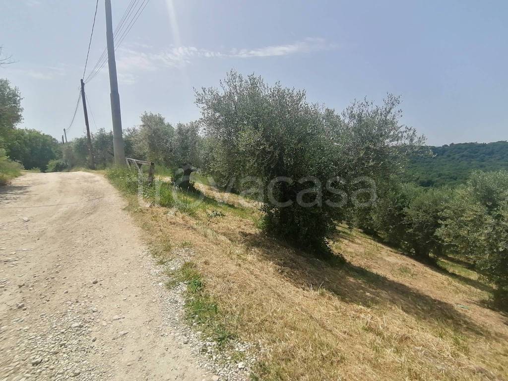 immagine annuncio 1 di 12