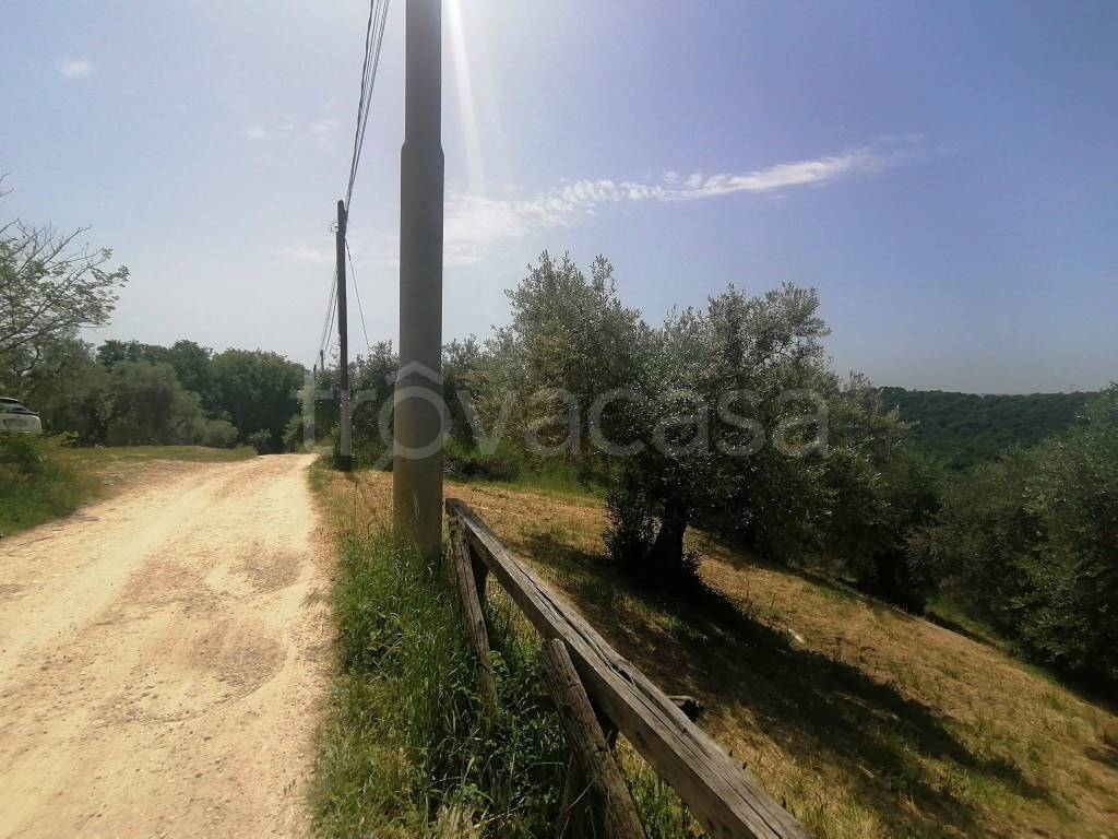 immagine annuncio 4 di 12
