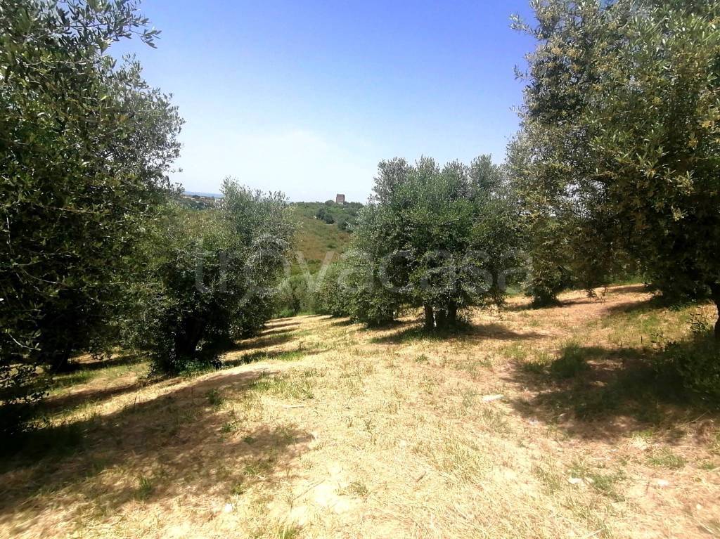 immagine annuncio 6 di 12
