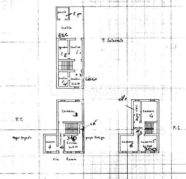 immagine annuncio 6 di 13
