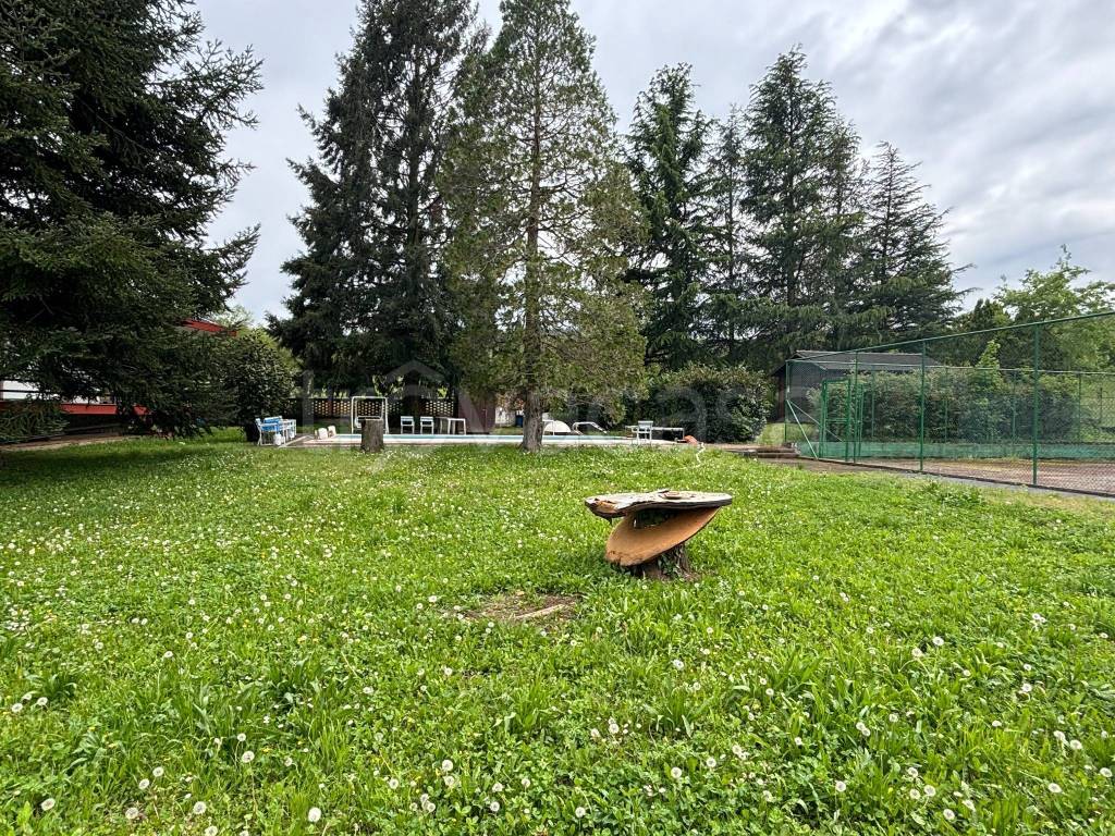 immagine annuncio 7 di 15