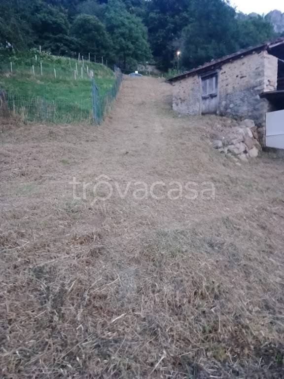 immagine annuncio 7 di 13