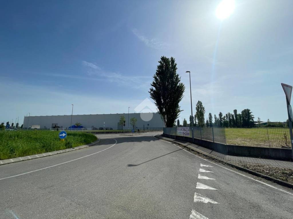immagine annuncio 6 di 11