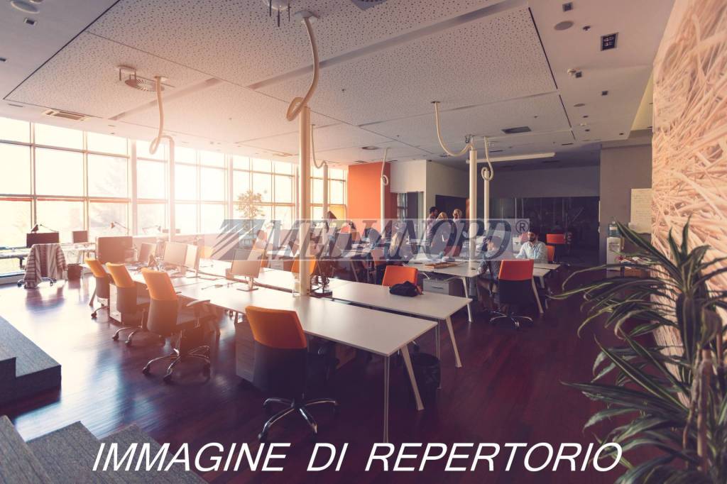 immagine annuncio 4 di 7