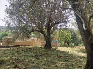 Terreno agricolo in vendita a camerota via infreschi