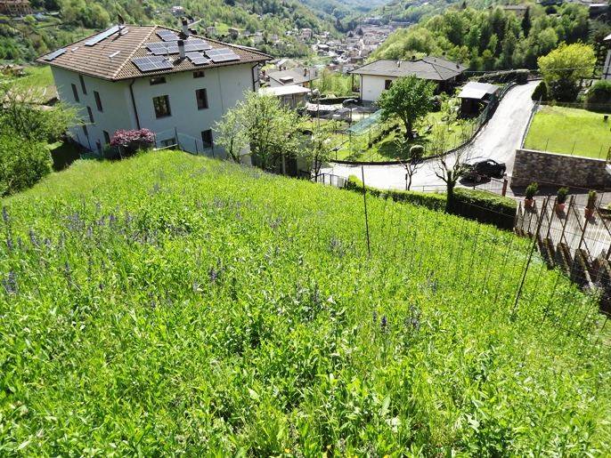 immagine annuncio 2 di 6