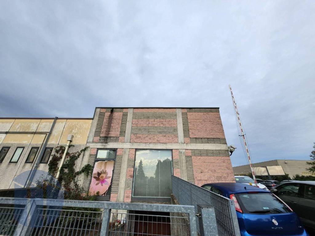 immagine annuncio 9 di 10