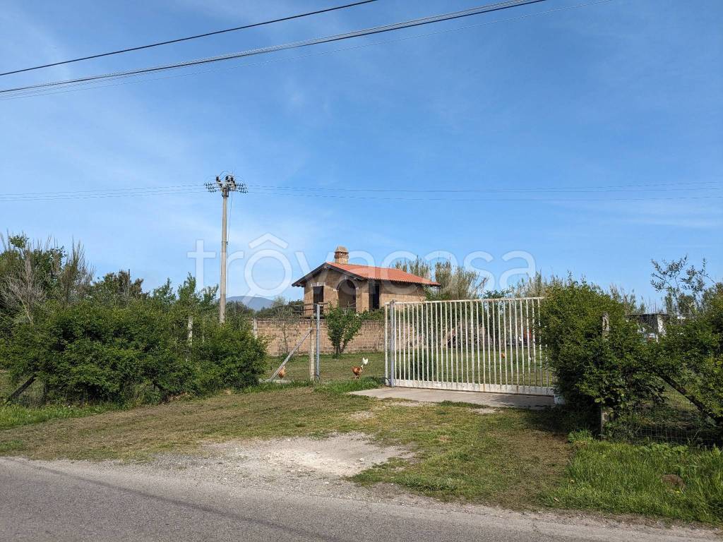 immagine annuncio 3 di 8