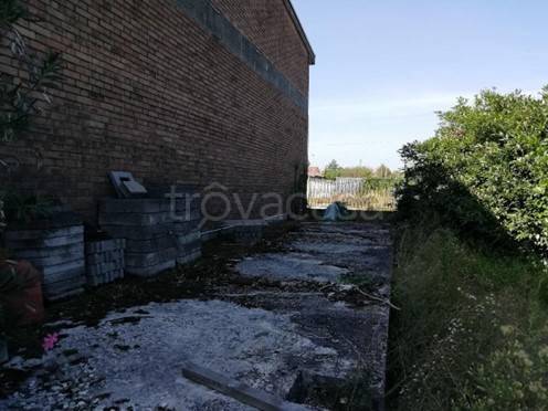 immagine annuncio 2 di 14