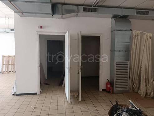 immagine annuncio 9 di 12