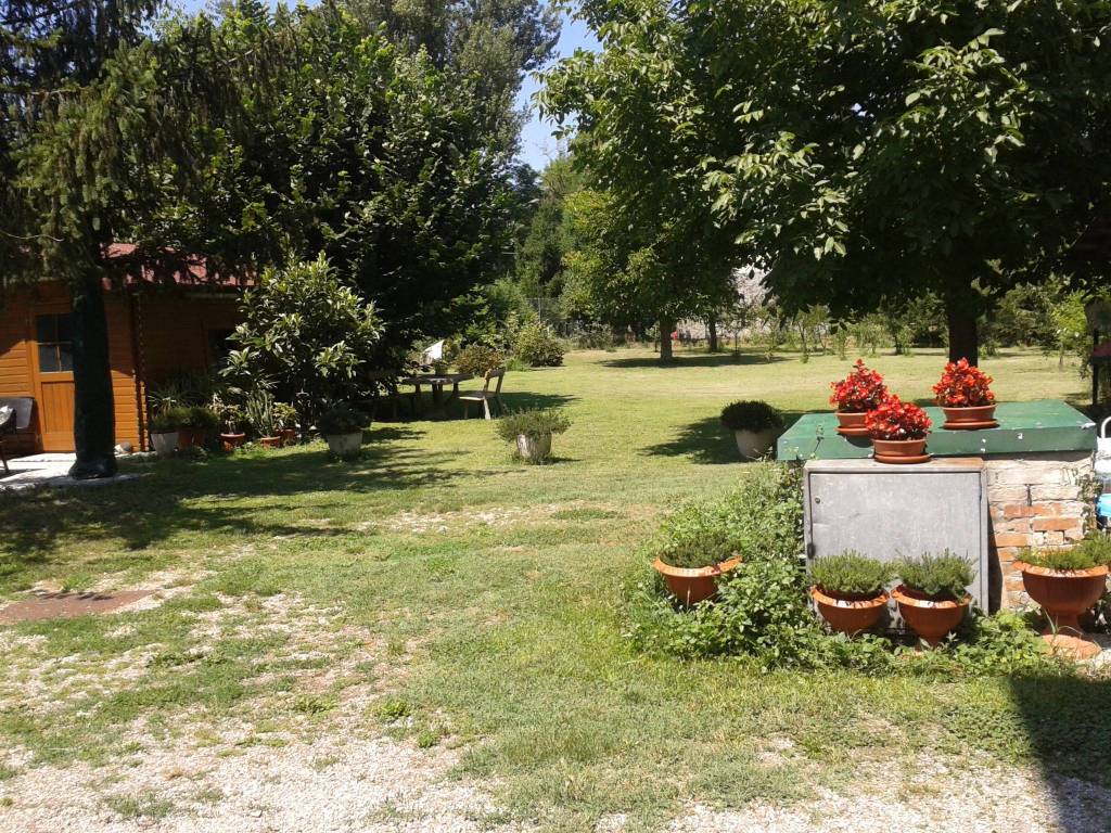 immagine annuncio 4 di 15