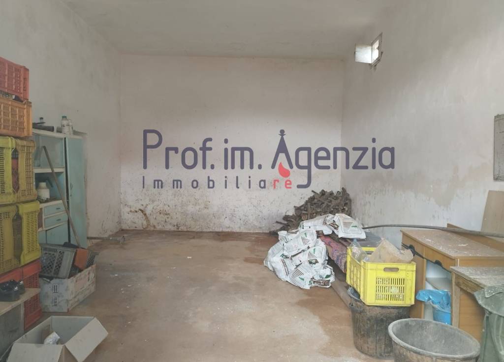 immagine annuncio 5 di 11