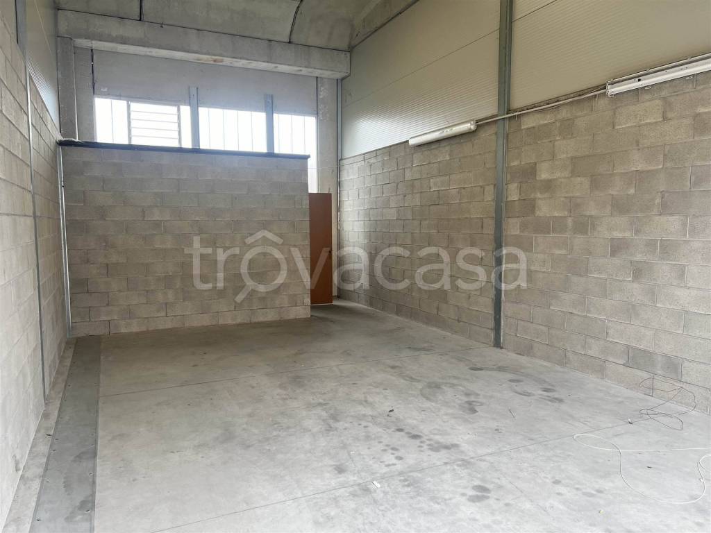 immagine annuncio 2 di 14
