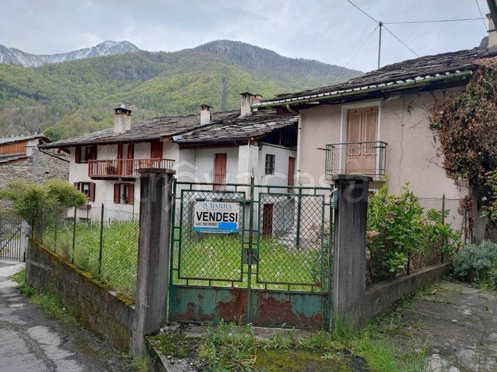 immagine annuncio 1 di 14