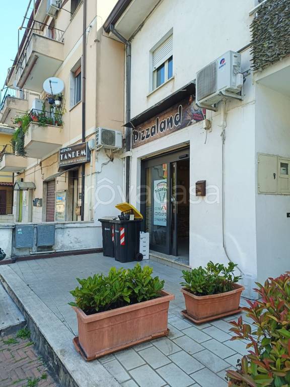 immagine annuncio 2 di 13