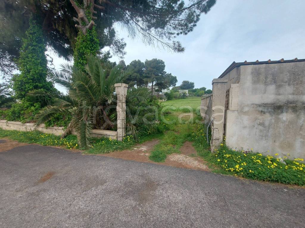 immagine annuncio 12 di 14