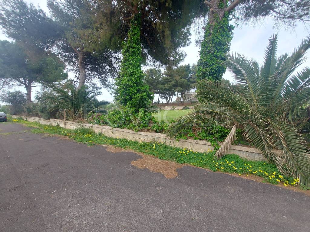 immagine annuncio 13 di 14