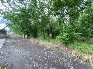 Terreno agricolo in vendita a striano 