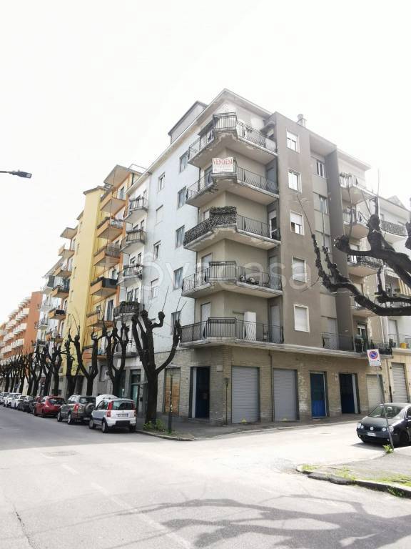 immagine annuncio 10 di 14