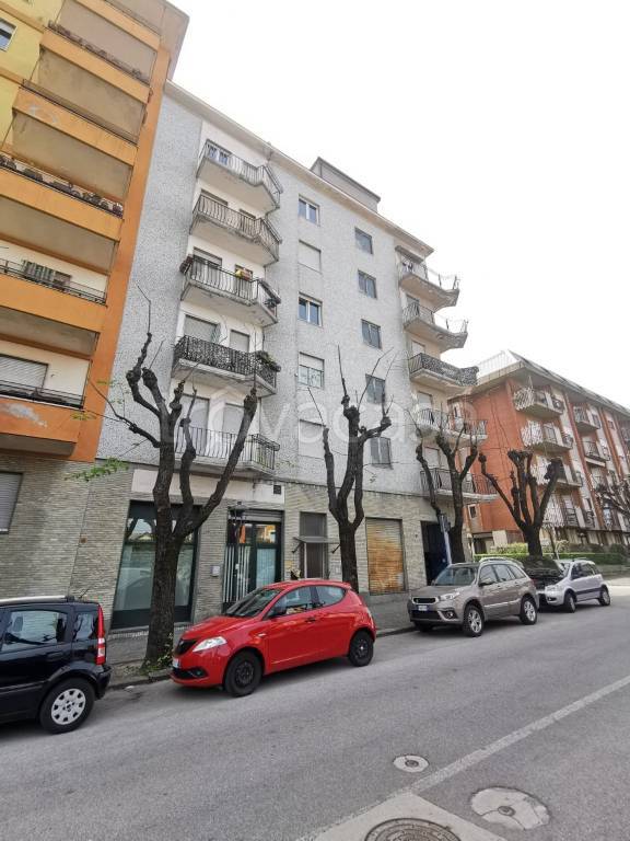 immagine annuncio 11 di 14