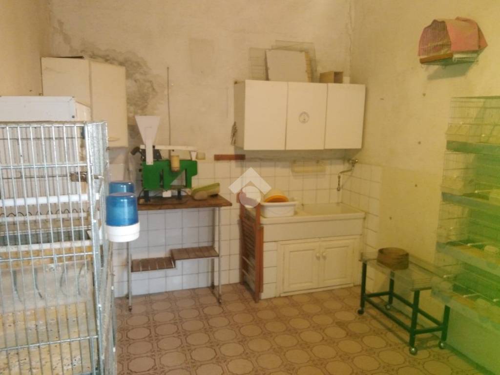 immagine annuncio 5 di 13