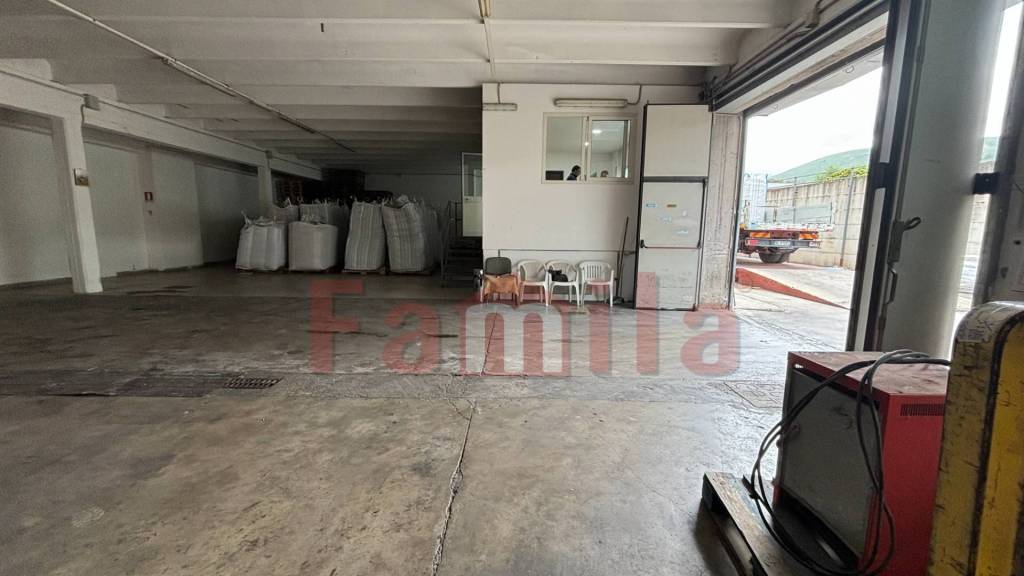 immagine annuncio 1 di 8