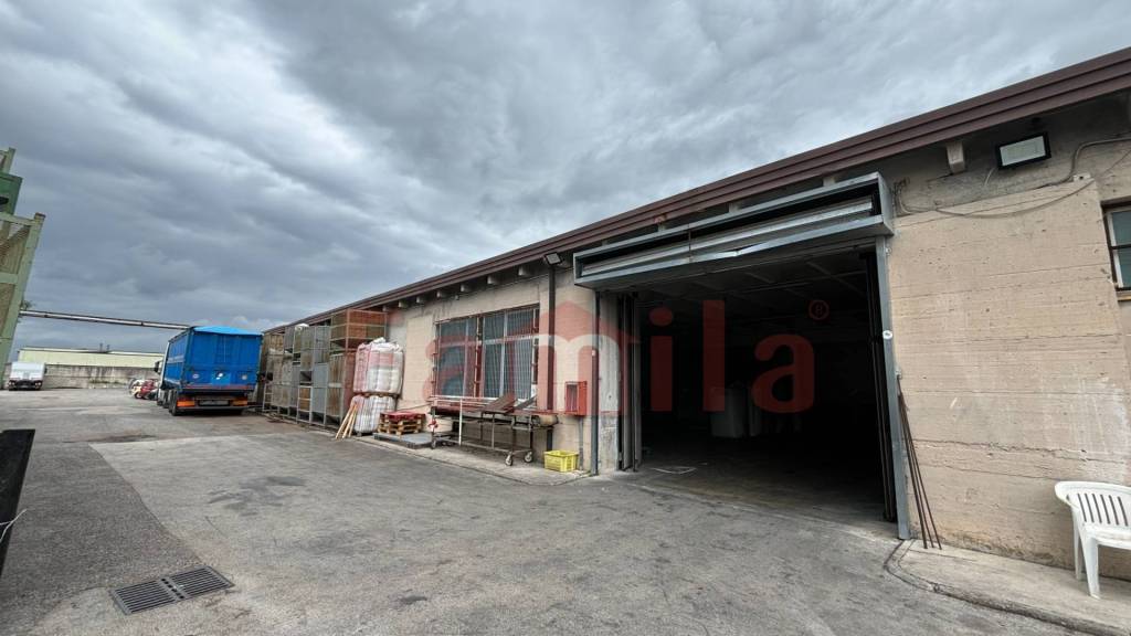 immagine annuncio 7 di 8